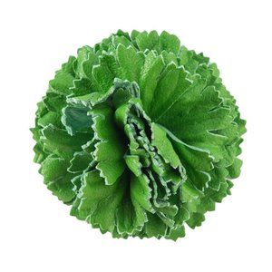 Fleur'd Pins - Green Leather Carnation